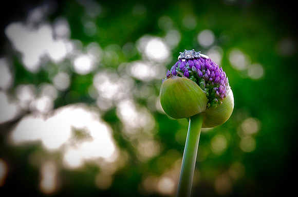 _DSC1480new