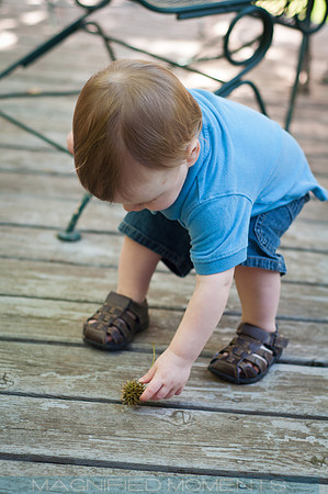 2012-07 Ethan's 1st Birthday (19 of 139)