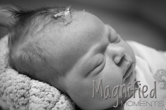 2010-12 Schaffhausen Newborn Favorite Pics-19